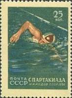 1956-059 Марка СССР Плавание   Спартакиада народов СССР II O