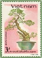 (1986-093) Марка Вьетнам "Стреблус"    Вьетнамский Бонсай III Θ