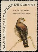 (1970-097) Марка Куба "Кубинский коршун"    Рождество III Θ