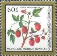 (1987-046) Сцепка (2 м) Монголия "Малина"    Съедобные ягоды III Θ
