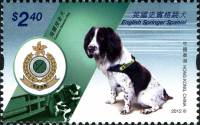 (№2012-1719) Марка Гонконг 2012 год "Английский Спрингер спаниель canis волчанка familiaris", Гашена