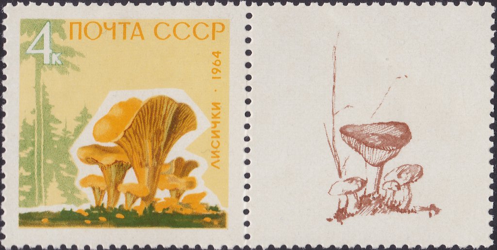 (1964-152-156) Серия Набор марок с купонами (5 шт) СССР     Грибы III O