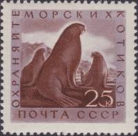 1960-078 Марка СССР Морские котики   Фауна СССР. Охрана ценных рыб и морских животных II Θ