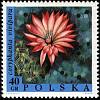 (1968-020) Марка Польша "Эскобария живородящая" , III Θ