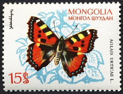 (1963-018) Марка Монголия &quot;Крапивница&quot;    Насекомые. Бабочки III Θ