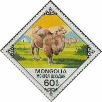 (1978-064) Марка Монголия "Старый верблюд"    Верблюды III O