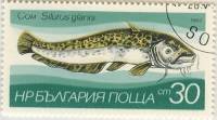 (1983-007) Марка Болгария "Сом "   Пресноводная рыба III Θ