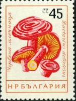 (1961-075) Марка Болгария "Волнушка"   Грибы (1) III O