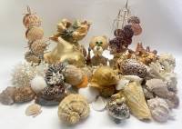 Набор для декора аквариума, ракушки, кораллы