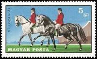 (1971-065) Марка Венгрия "Выездка лошадей" ,  III O