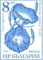 (1986-071) Марка Болгария "Ипомея"   Садовые цветы III Θ