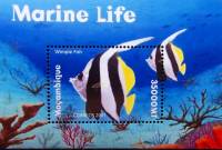 (№2001-65) Блок марок Мозамбик 2001 год "Пещерку рыбы Holacanthus ciliaris", Гашеный