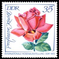 (1972-042) Марка Германия (ГДР) "Розы (6)"    Выставка роз II Θ