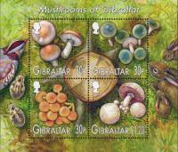 (№2003-57) Блок марок Гибралтар 2003 год "Грибы Гибралтара", Гашеный