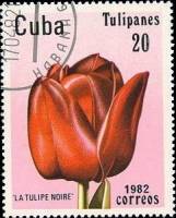 (1982-029) Марка Куба "Черный тюльпан"    Тюльпаны II Θ