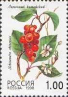 (1998-043) Марка Россия "Лимонник китайский"   Лесные ягоды III O