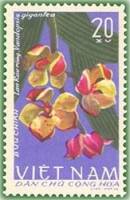 (1966-006) Марка Вьетнам "Вандопсис"   Орхидеи II Θ