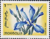 (1966-033) Марка Монголия "Ирис бунгей"    Эндемические цветы III O