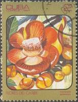 (1984-024) Марка Куба "Курупита гвианская"    Цветы III Θ