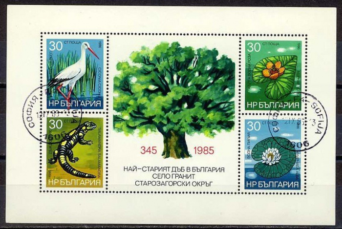 (1986-080) Блок Болгария &quot;Дерево&quot;   Охрана окружающей среды III Θ