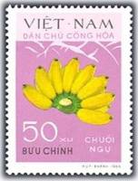 (1970-042) Марка Вьетнам "Чуой Нгу"   Бананы III Θ