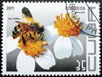 (№5492) Марка Куба 2011 год "Западной медоносной пчелы Апис mellifera испанский игл череда ", Гашена