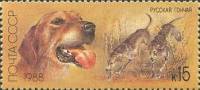 1988-045 Марка СССР Русская гончая  Отечественные породы охотничьих собак II O