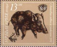 (1981-042) Марка Болгария "Кабан"   Международная охотничья выставка, Пловдив III Θ