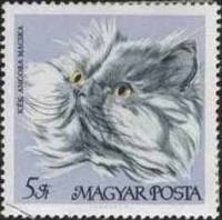 (1968-016) Марка Венгрия "Голубая персидская"    Домашние кошки III Θ
