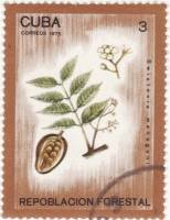 (1975-045) Марка Куба "Цедрела душистая"    Лесопосадки III O