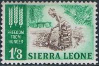 (№1963-222) Марка Сьерра-Леоне 1963 год "Борьбе с голодом", Гашеная