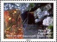 (№2011-1035) Марка Непал 2011 год "Gajurmukhi Дхам Илам", Гашеная