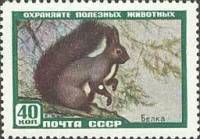 1959-056 Марка СССР Белка   Фауна I O