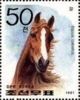 (1991-073) Марка Северная Корея "Домашняя лошадь"   Породы лошадей III Θ