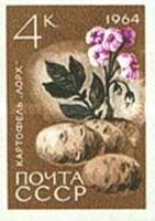 1964-083 Марка СССР Картофель Лорх Без перф   Сельскохозяйственные культуры III O