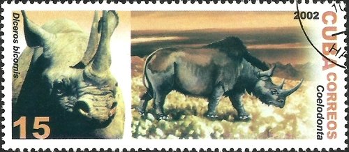 (№4489) Марка Куба 2002 год &quot;Черный носорог Diceros bicornis Шерстистого носорога высококачественные