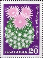 (1970-027) Марка Болгария "Необессия розоцветная"   Кактусы III Θ