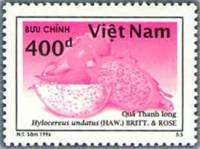 (№1997-2823) Марка из набора Вьетнам 1997 год "Dragonegg Undatus Hylocereus как БРИТТ и Роза", Гашен
