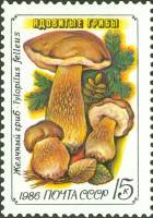 1986-038 Марка СССР Желчный гриб  Ядовитые грибы III Θ