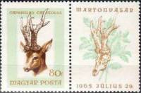 (1966-059) Марка + купон Венгрия "Европейская косуля"    Охота III Θ