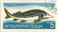 (1983-004) Марка Болгария "Осетр"   Пресноводная рыба II Θ