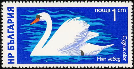 (1976-016) Марка Болгария &quot;Лебедь-шипун&quot;   Водоплавающие птицы III Θ