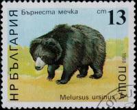 (1988-085) Марка Болгария "Губач"   Медведи III O