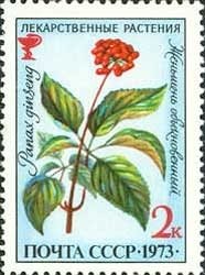 1973-080 Марка СССР Женьшень обыкновенный   Лекарственные растения III Θ