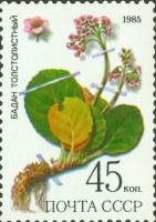 1985-065 Марка СССР Бадан толстолистный  Лекарственные растения Сибири III O