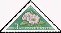 (1958-057) Марка Венгрия "Шиповник собачий"    Цветы III Θ