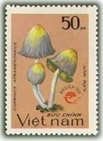 (1990-107) Марка Вьетнам "Навозник серый"    Туризм III O