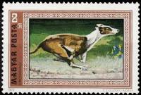 (1972-017) Марка Венгрия "Грейхаунд" ,  III O