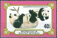 (1977-074) Марка Монголия "Играющие панды"    Панды, или бамбуковые медведи III Θ