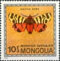 (1974-002) Марка Монголия "Медведица геба"    Насекомые Монголии: бабочки III Θ
